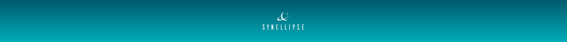 Synellipse - Éric Joly
